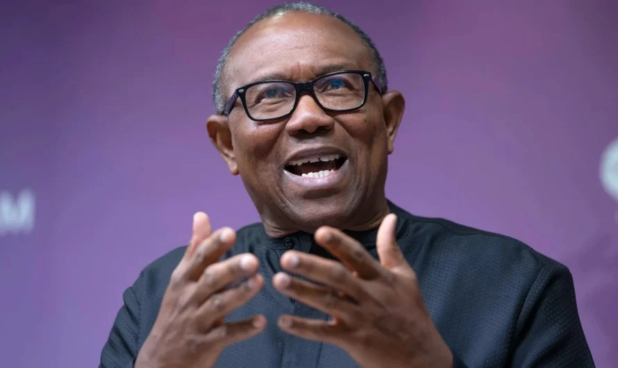 June 12: ‘Tinubu has done excellently well, kept campaign promises’ – Peter Obi