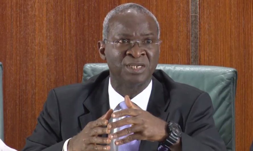 Those pushing undemocratic alternatives spit on graves of Nigeria’s martyrs – Fashola