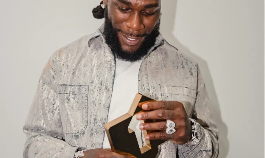 Burna Boy sets record for highest-grossing tour by African artiste