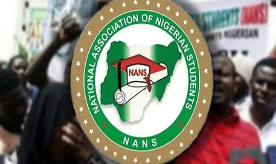 Single term of six years: NANS kicks against proposed bill