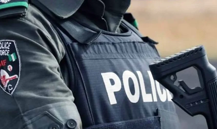 Police arrest 12 suspected armed robbers in Delta, recover guns