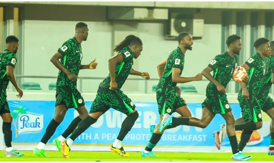 ‘We’ll hire foreign technical assistant for Super Eagles’ – NFF