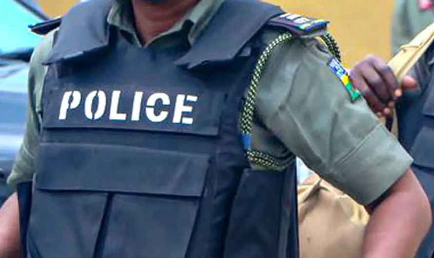 Police apprehend electricity transformer cable vandal in Osun
