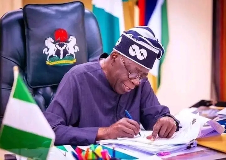 President Tinubu appoints new leadership for national council on climate change